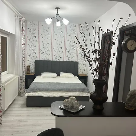 Apartament Cochet Parscov, Buzau Exterior photo