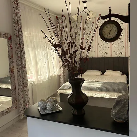 Apartament Cochet Parscov, Buzau Exterior photo