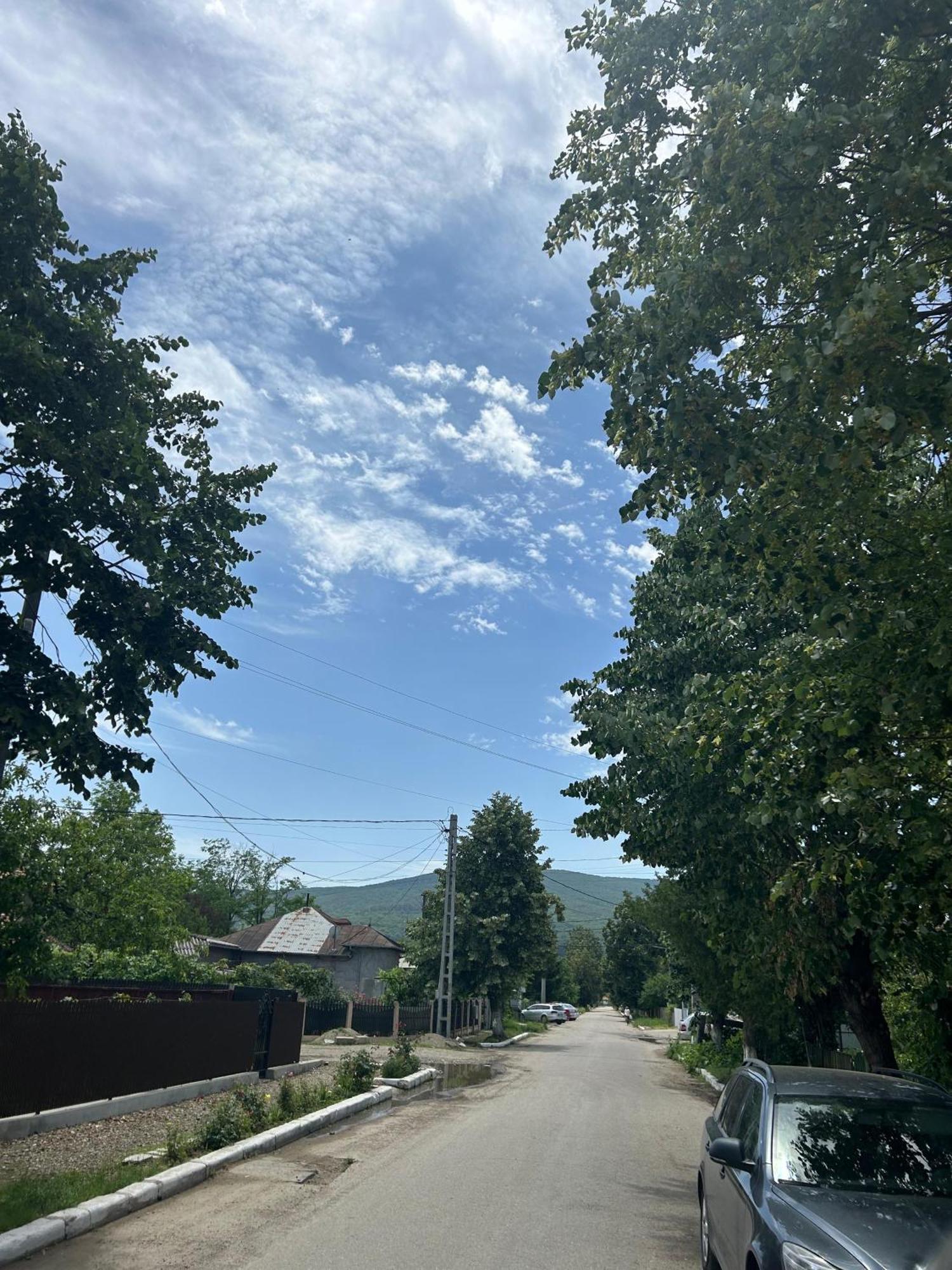 Cochet Parscov, Buzau Parscov